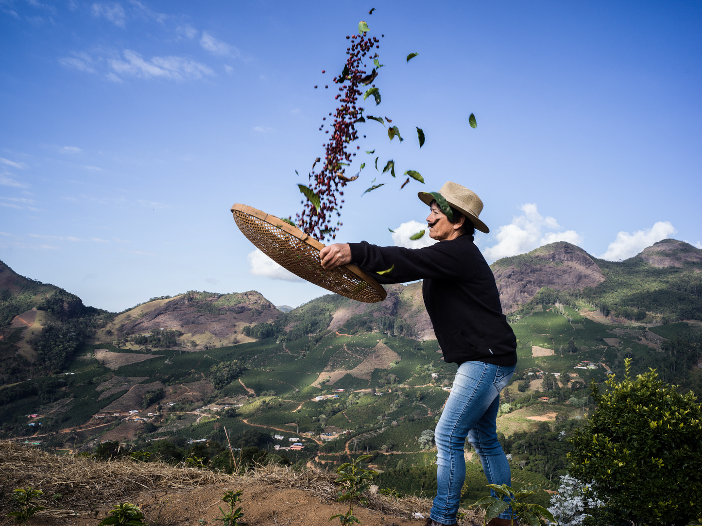 🇧🇷 Café Brésilien - Mulheres do Caparao - Catuai Nature 🇧🇷