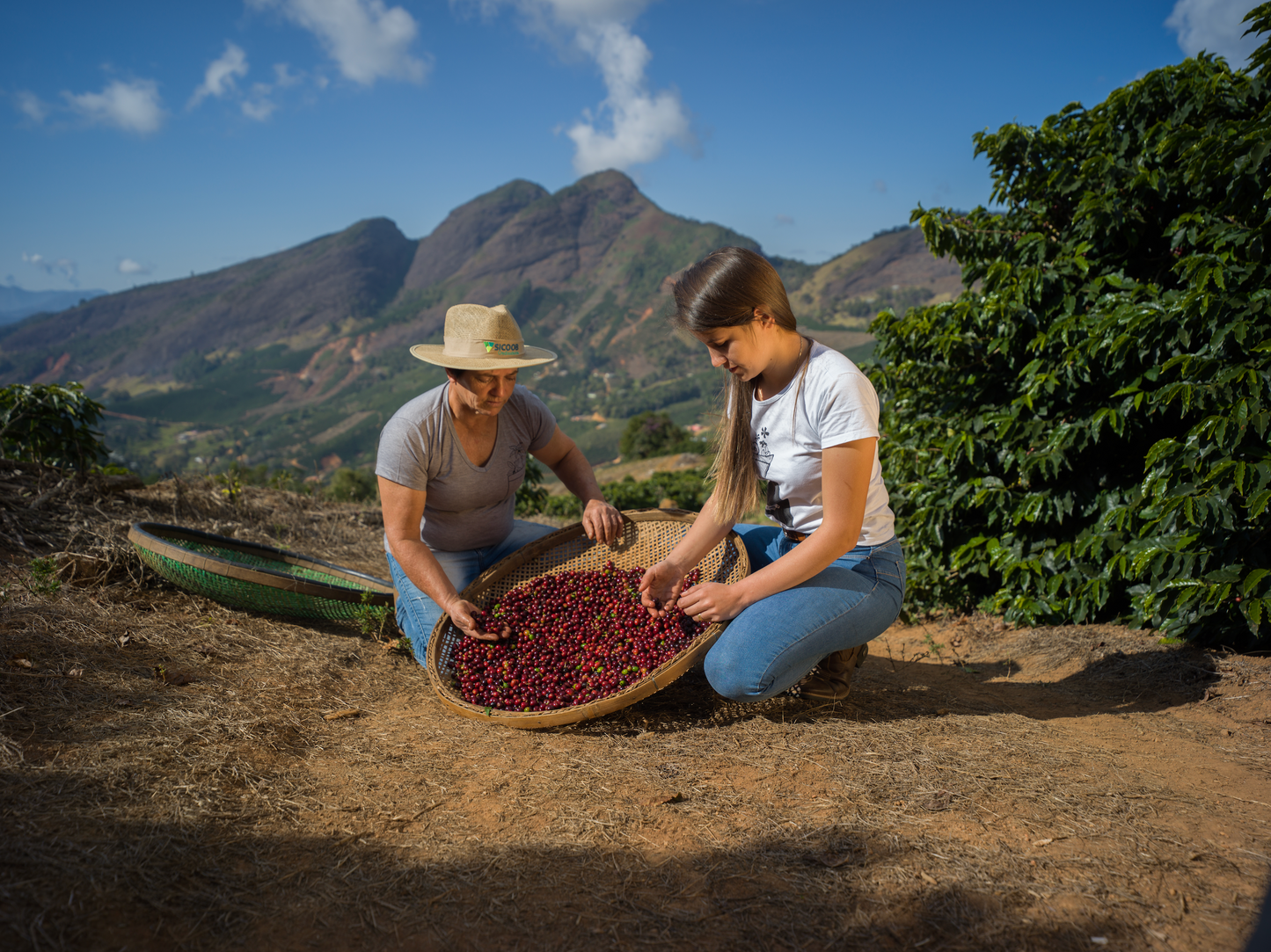 🇧🇷 Café Brésilien - Mulheres do Caparao - Catuai Nature 🇧🇷