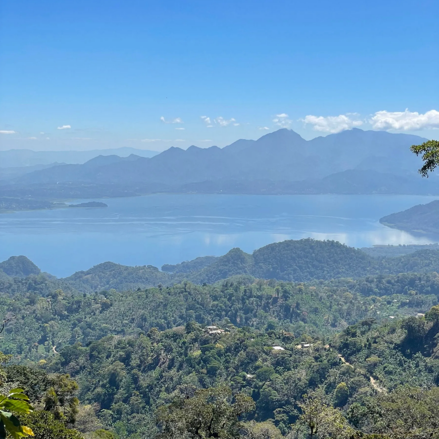 đđł CafĂ© de SpĂ©cialitĂ© du Honduras â Bourbon LavĂ© â Finca Las Flores â Roberto SabillĂłn