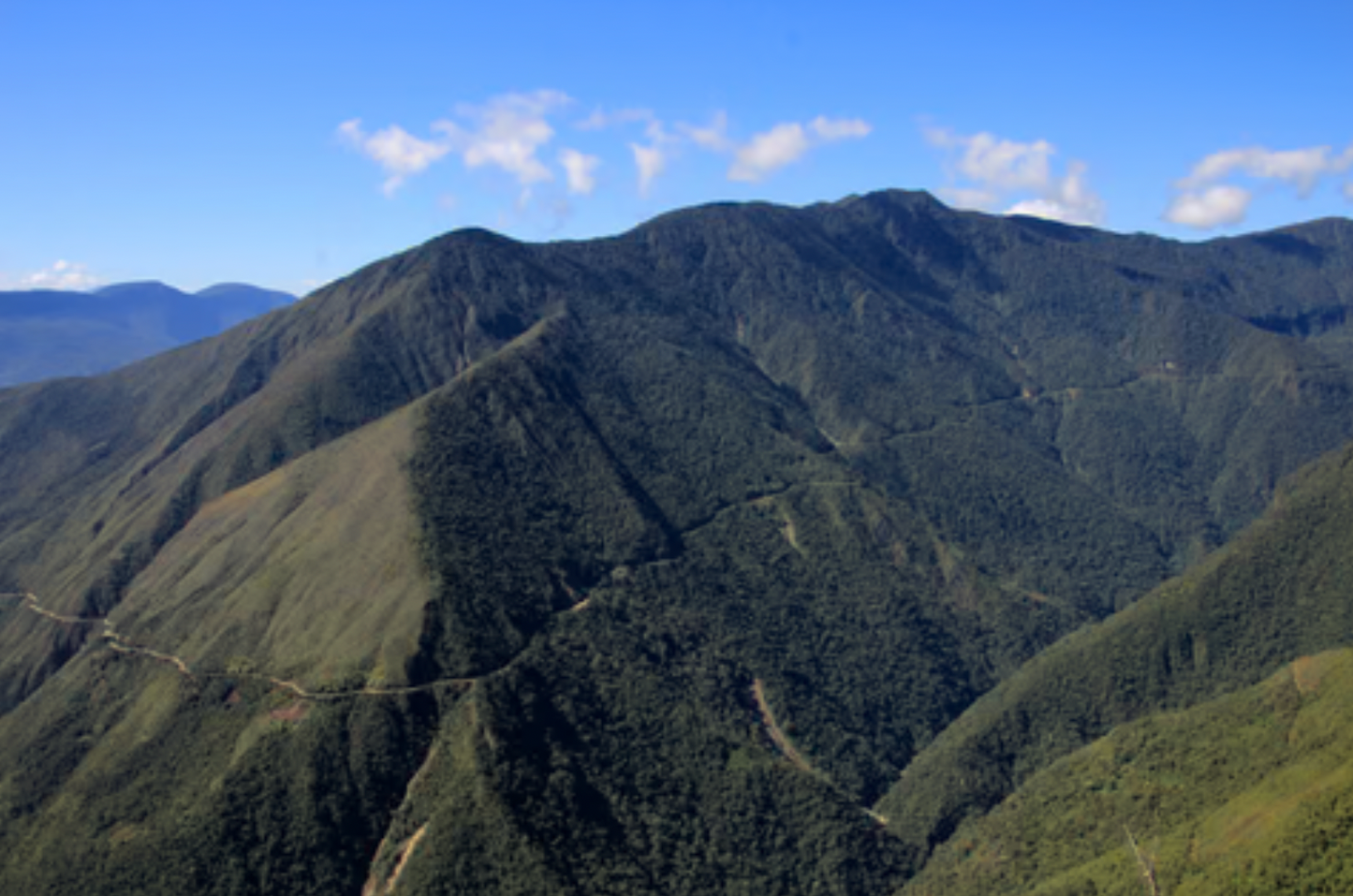 đ§đŽ CafĂ© de SpĂ©cialitĂ© â Pacamara Naturel â Finca El Mirador (Bolivie)