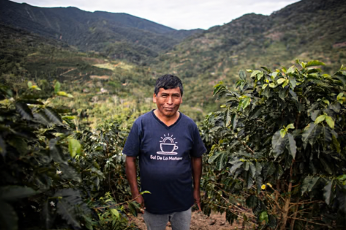 đ§đŽ CafĂ© de SpĂ©cialitĂ© â Pacamara Naturel â Finca El Mirador (Bolivie)