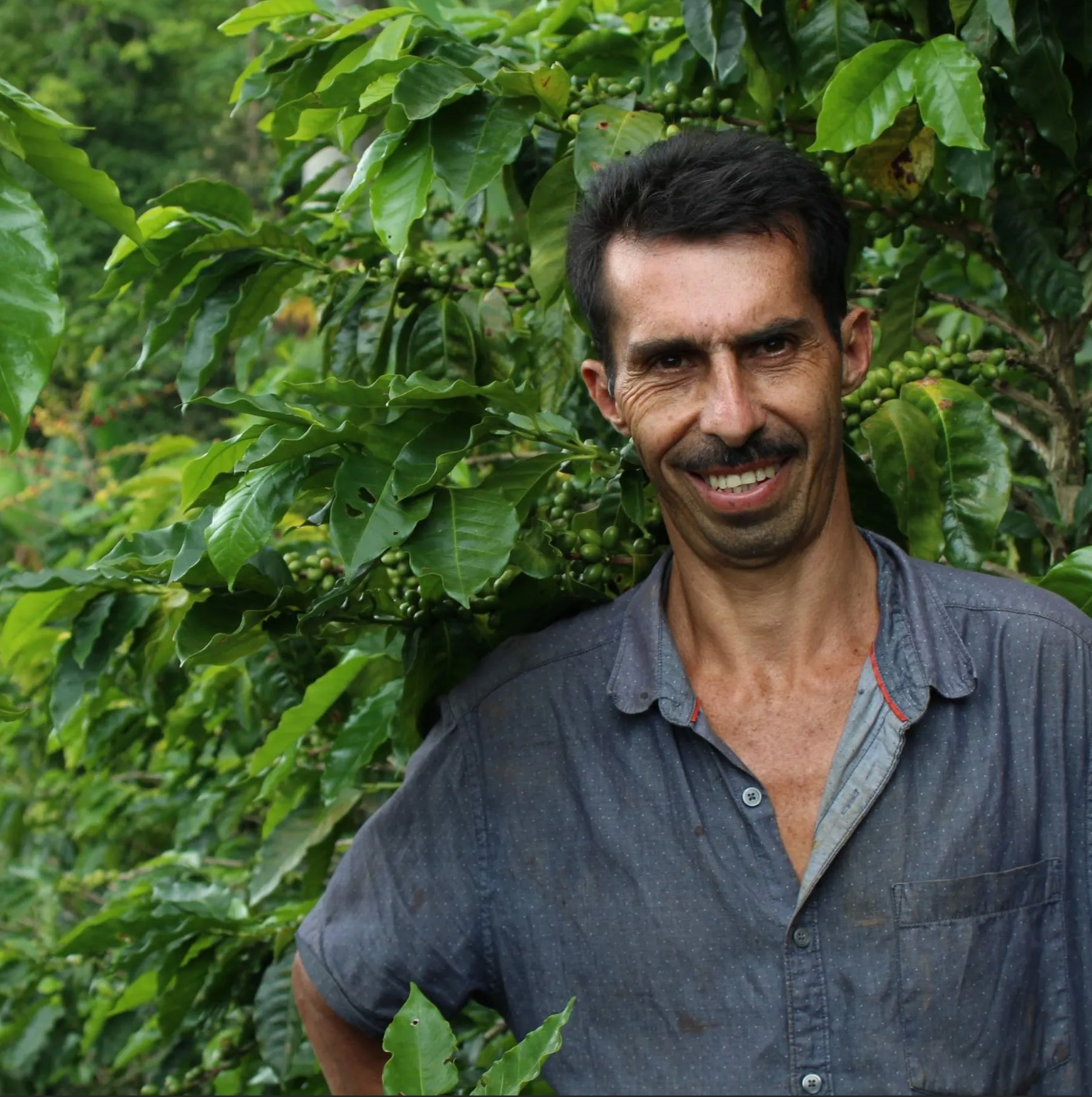 🇭🇳 Café de Spécialité du Honduras – Bourbon Lavé – Finca Las Flores – Roberto Sabillón