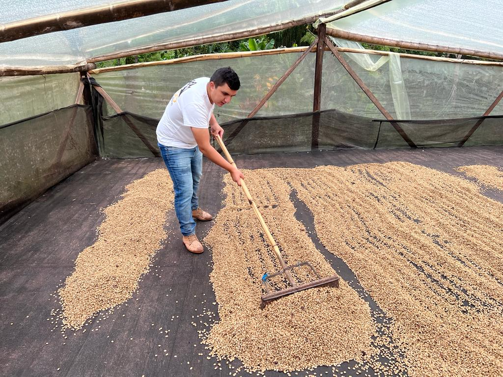 🇨🇴 Café de Spécialité de Colombie – Chiroso – Finca El Diviso – Nestor Lasso