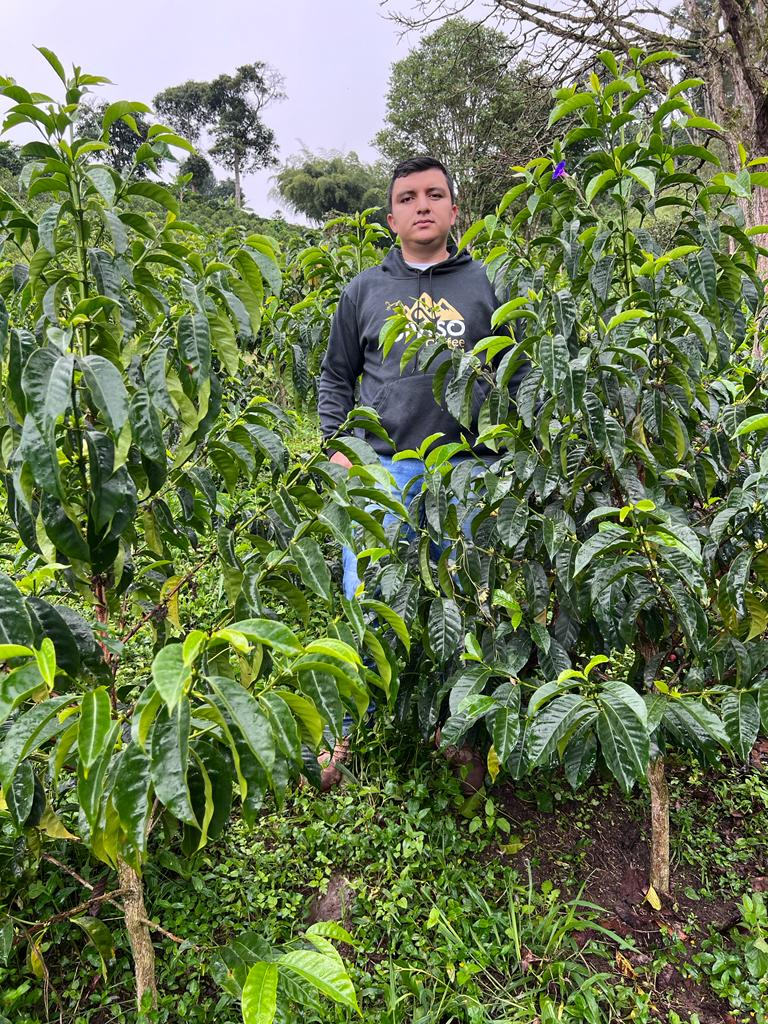 🇨🇴 Café de Spécialité de Colombie – Chiroso – Finca El Diviso – Nestor Lasso