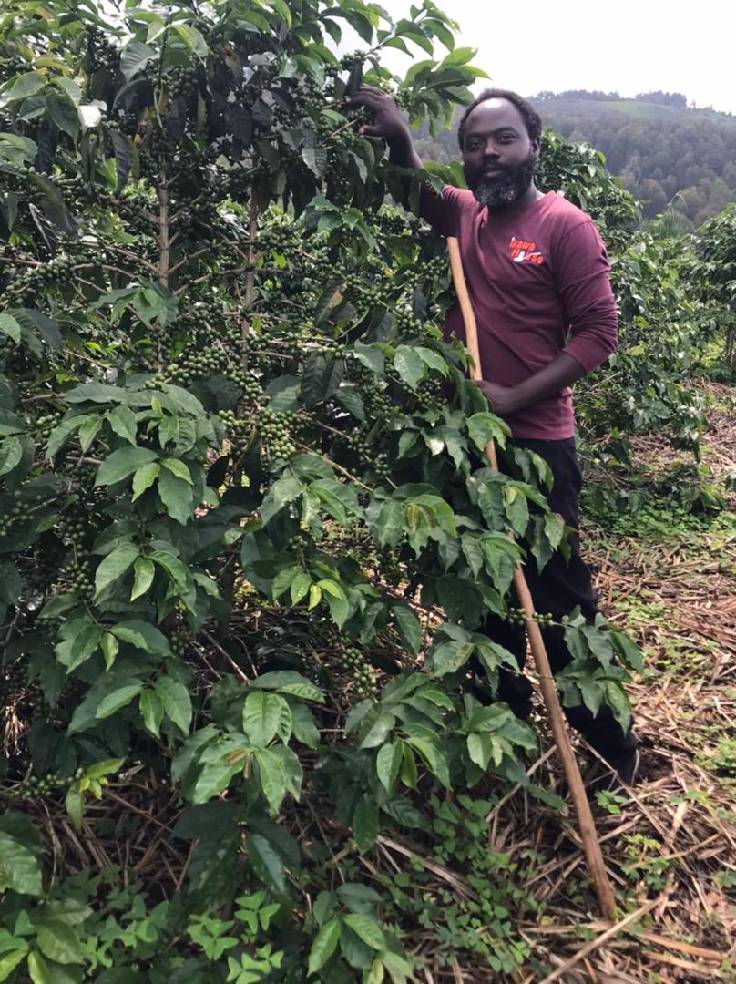 🇷🇼 Café De Spécilité - Ruronzi Farm | Rwanda – Bourbon rouge Natural Anaérobique